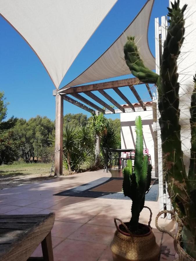 Le Repaire de la Cadière à 5mn des plages ! Saint-Cyr-sur-Mer Esterno foto