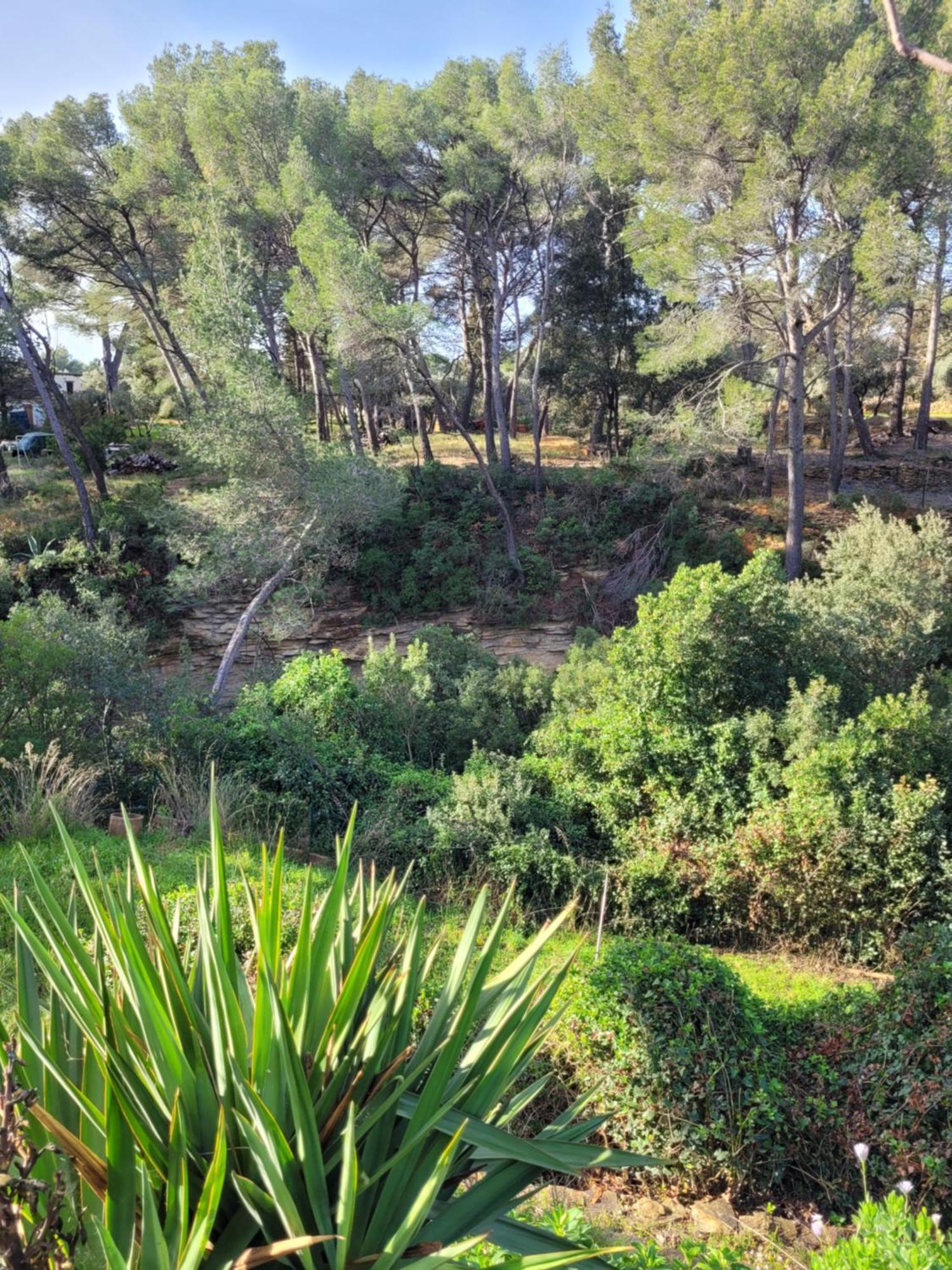 Le Repaire de la Cadière à 5mn des plages ! Saint-Cyr-sur-Mer Esterno foto